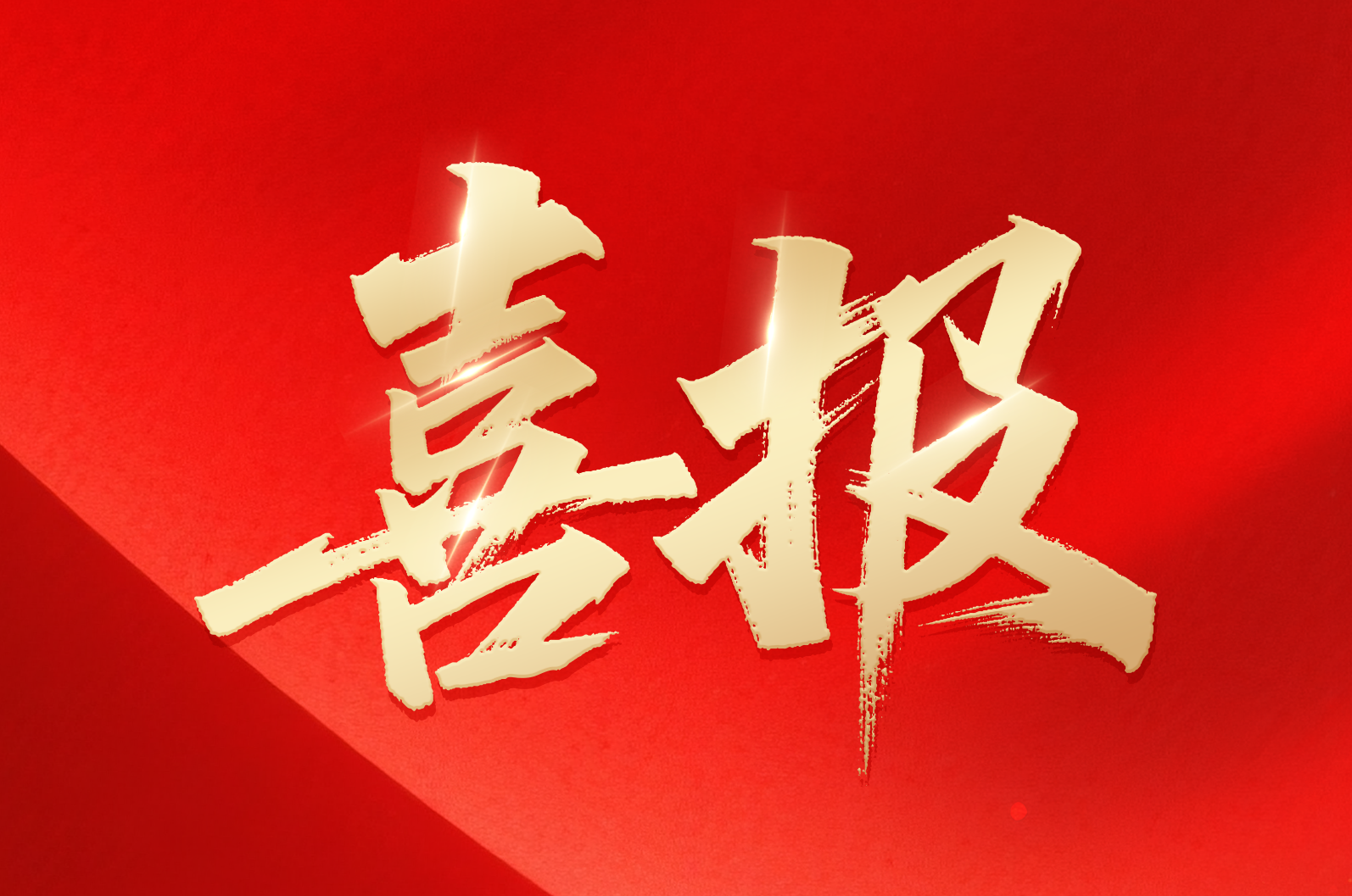 禾川在线｜喜报！公司荣获2024年拼搏奋进·衢州市长特别奖市政府质量奖